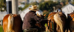 Amish Farmer