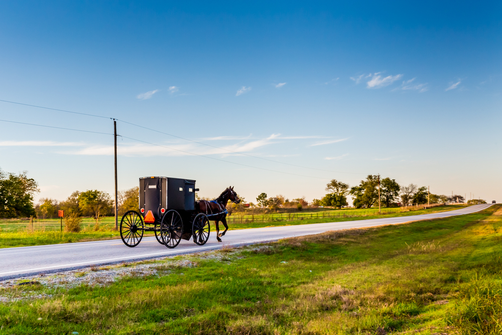 Amish buggy