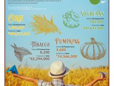 Lancaster County Harvest Infographic
